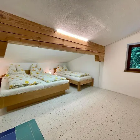 Apartment Alpengasthof Wegscheid Kelchsau
